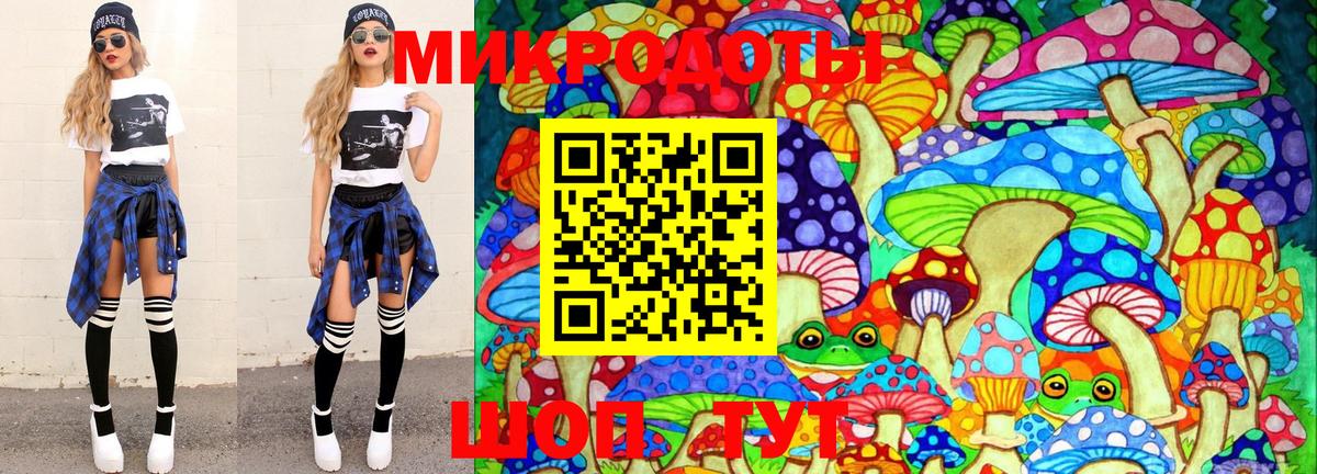 Галлюциногенные грибы Psilocybe Можга