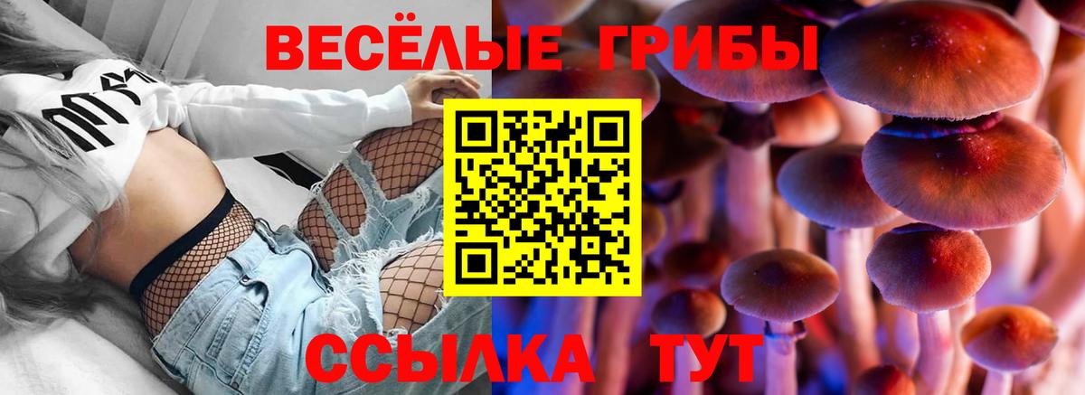 Псилоцибиновые грибы мицелий  Вход с VPN  Можга 